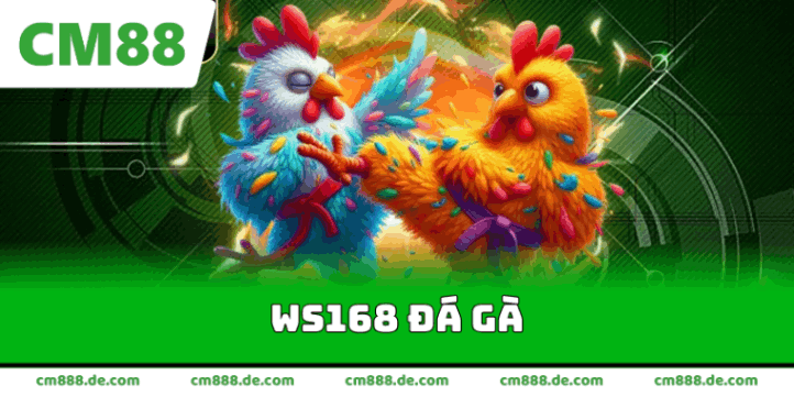 ws168 đá gà